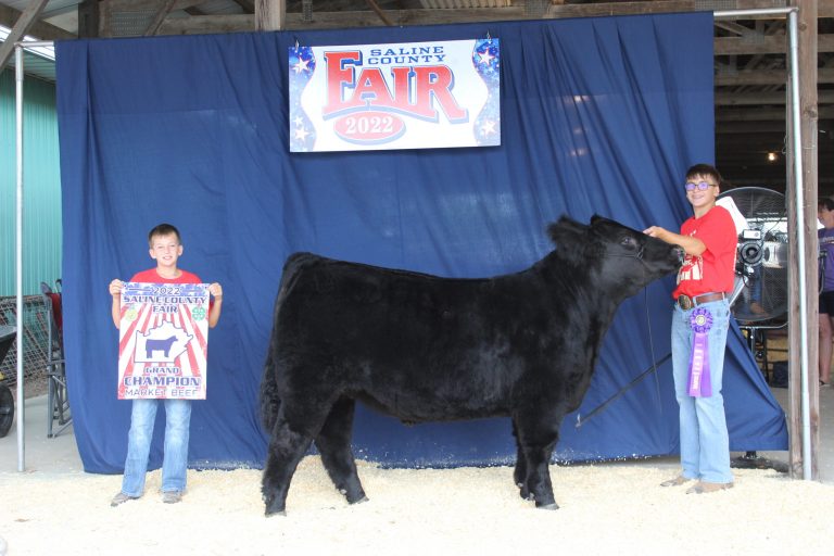 Avery Schroeder received the Grand Champion Market Beef for the 2022 Saline County Fair Cattle Show. Contributed image