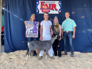 Hunter Browning poses with his Supreme Grand Champion Dairy Goat for the 2022 Saline County Fair Goat Show. Contributed image