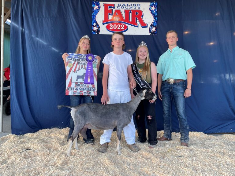 Hunter Browning poses with his Supreme Grand Champion Dairy Goat for the 2022 Saline County Fair Goat Show. Contributed image
