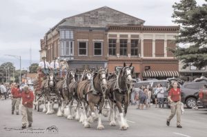 Photo courtesy of David Roscher