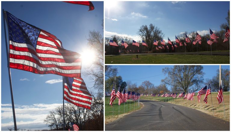 Similar to Memorial Day, the Marshall Parks and Recreation department set up flags on Friday, Nov 11. This was in honor of Veterans Day. Flags were lined all the way from the Little Sister of Lady Liberty statue to the Indian Foothills Park basketball courts. Danielle Linton-Hatfield/Democrat-News