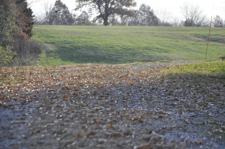 A road circling Amary Lake at the former Marshall Habilitation Center is covered in leaves this past November. The road extends further onto the property, and there are currently discussions about creating walking trails in the wooded areas. Sarah Gray/Democrat-News