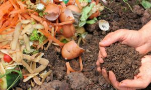 Compost ecology waste garden. pixabay.com