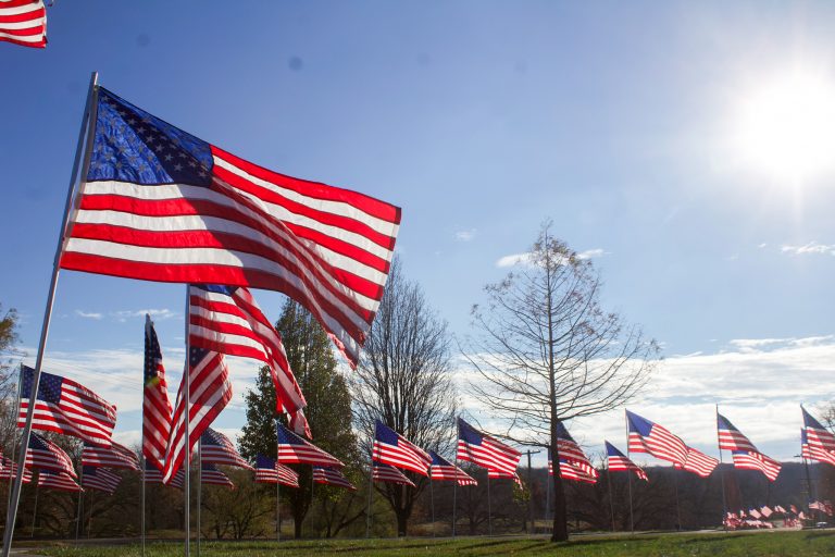 Pictured is a group of flags set up last year by the Marshall Parks and Recreation department. The flags were placed around Indian Foothills Park on Nov. 11, 2022, for Veterans Day. There were a total of 500 flags. Marshall Parks and Rec is one of the few organizations who partners with the Marshall Chamber of Commerce to participate in the flag program Partners in Patriotism. Danielle Linton-Hatfield/Democrat-News